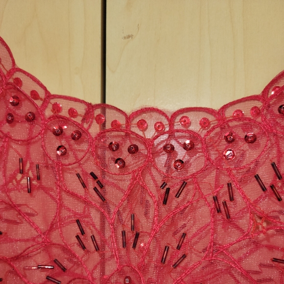 Beaded Nearly Nude Covering - Picture 3 of 3